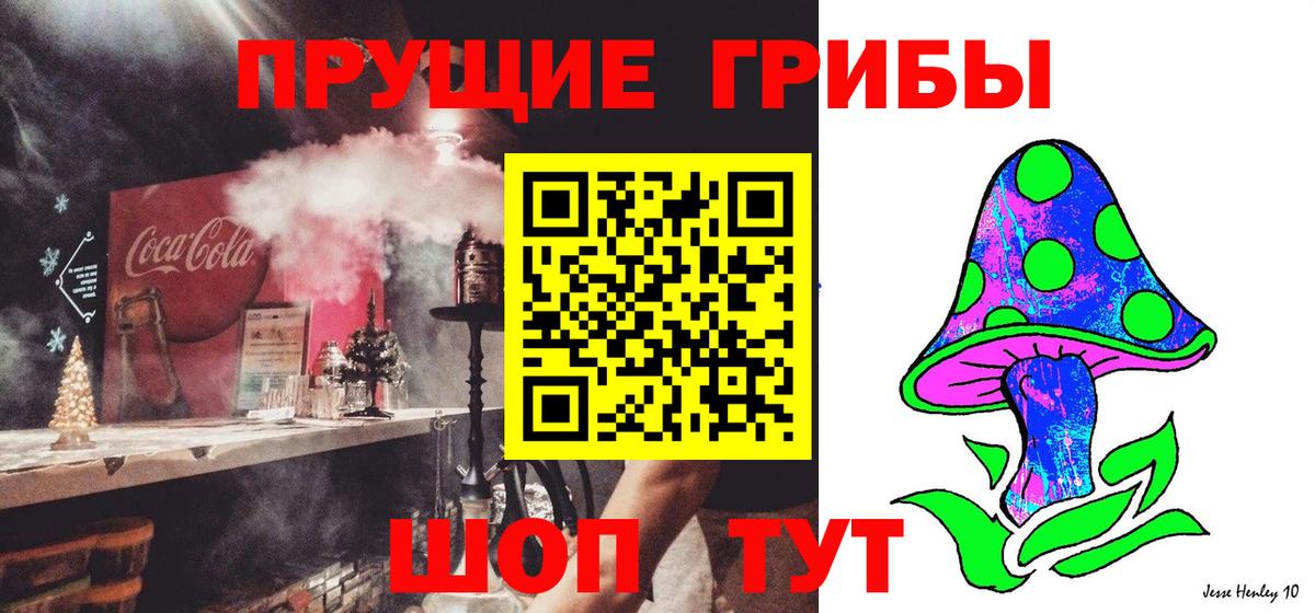 Галлюциногенные грибы Psilocybe Волоколамск